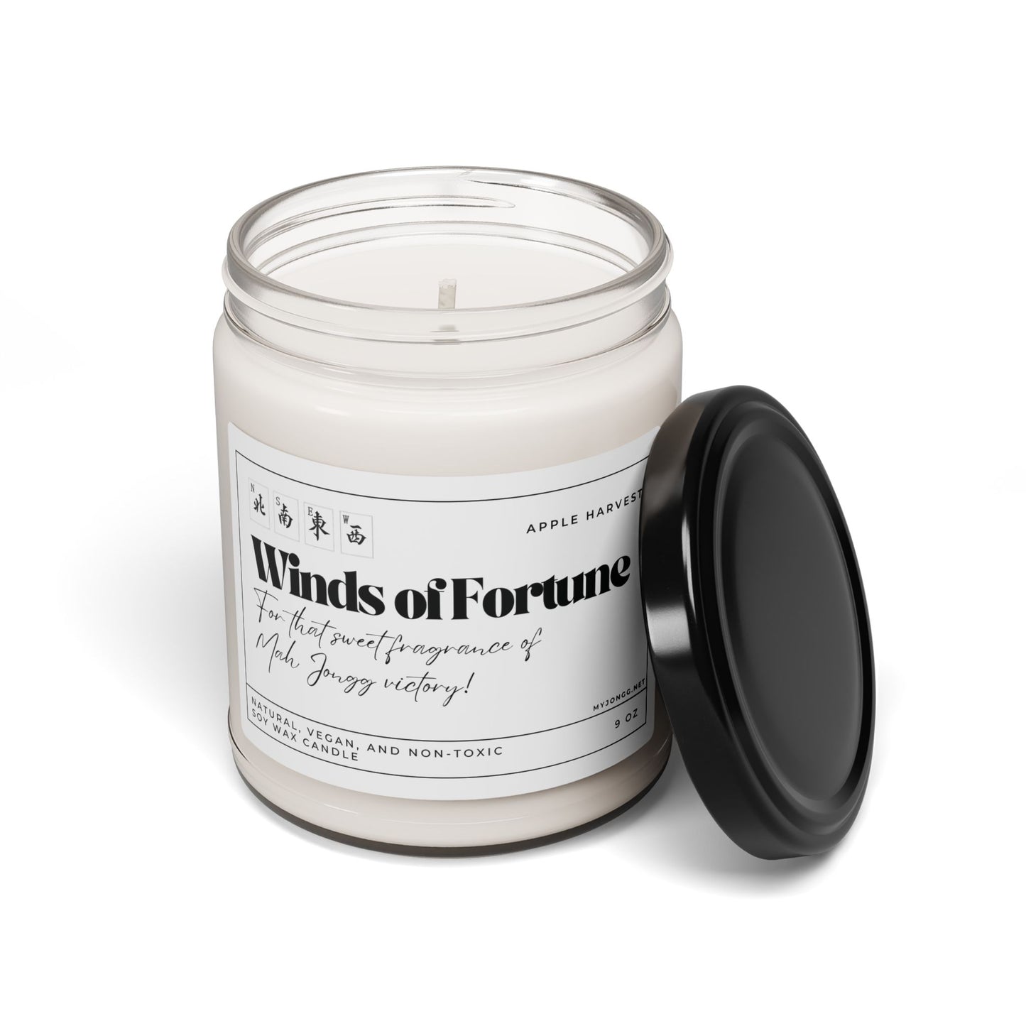 Winds of Fortune — Scented Soy Candle (9 oz)